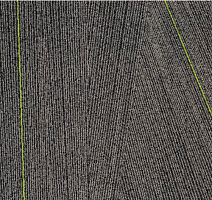 Milliken Facet fca 141-79 Anthracite Lime фото 1 | FLOORDEALER